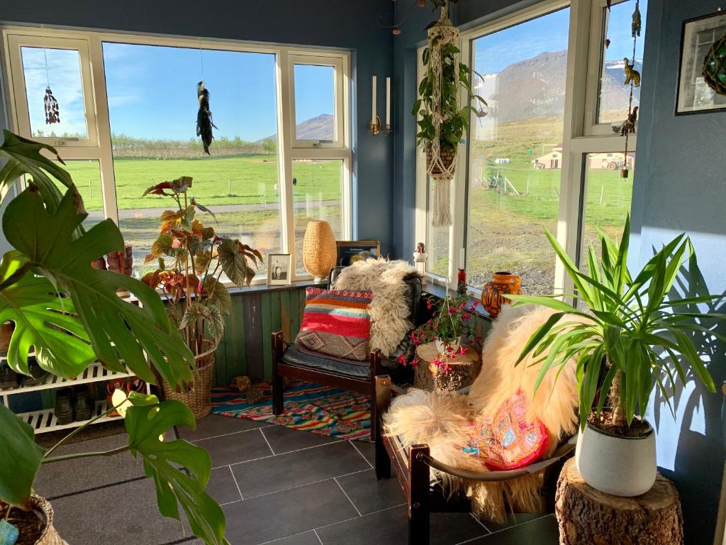 a living room with plants and a couch and windows at Frostastaðir Guesthouse in Varmahlid