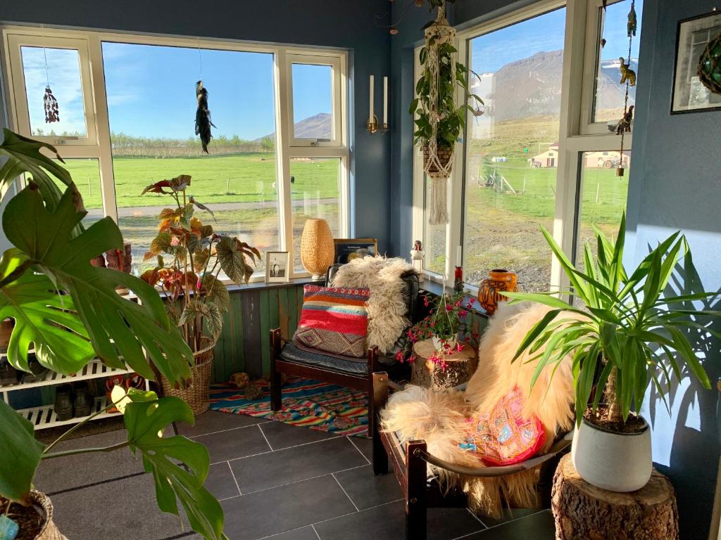 Zahrada ubytování Frostastaðir Guesthouse