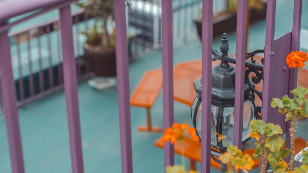 Fotografie z fotogalerie ubytování Hotel Aurora v destinaci Oaxaca