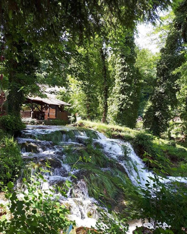 Guesthouse Pod rastockim krovom - 14