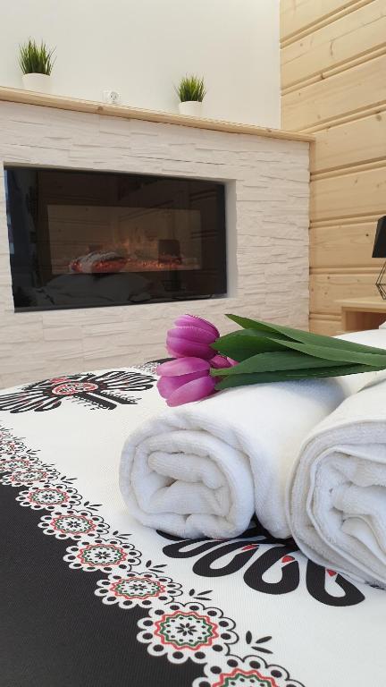 Villa Fortuna - Regionalne apartamenty & SPA - Sauna, Grill, Jacuzzi z widokiem na Tatry - 15