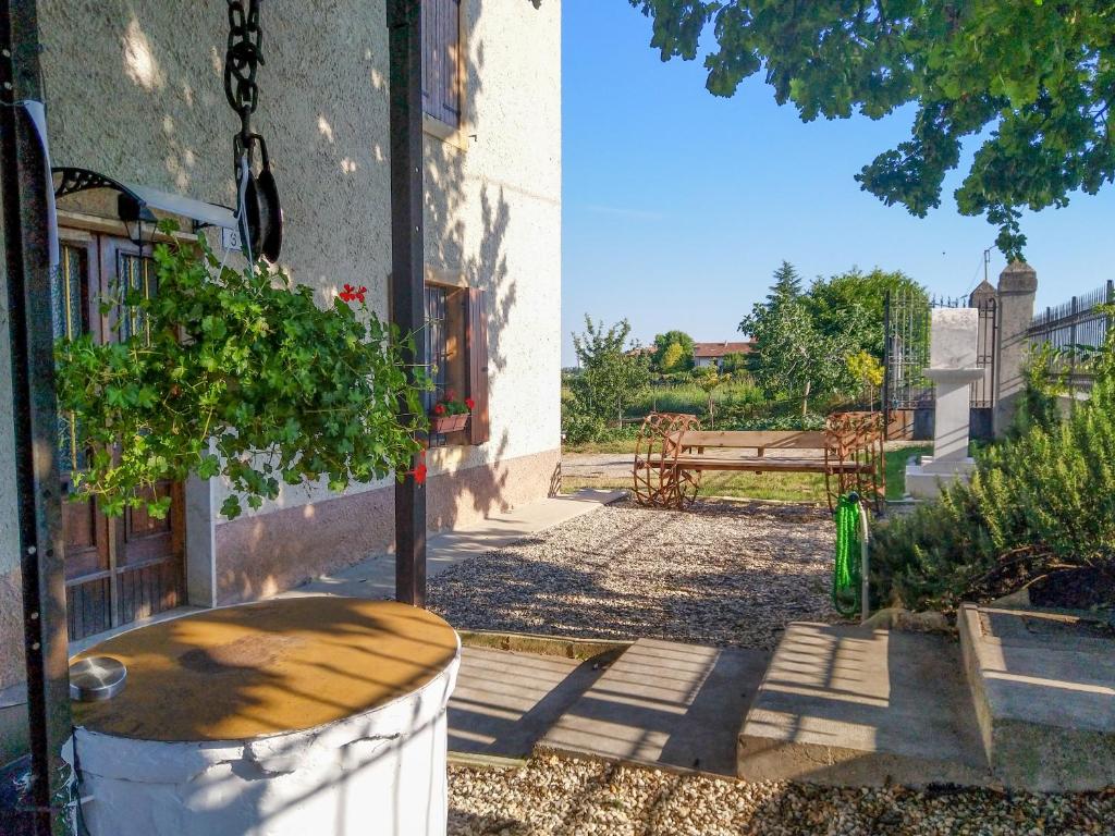 patio z ławką i rośliną w garnku w obiekcie Rustico alla Quercetta w Weronie