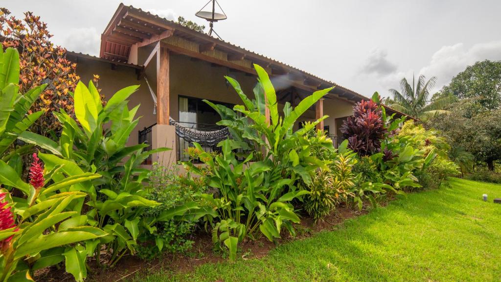 Zahrada ubytování La Finca Lodge