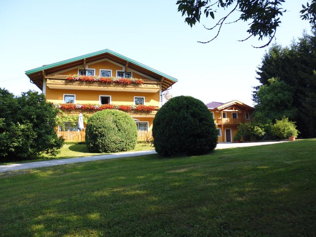 Zahrada ubytování Pension David