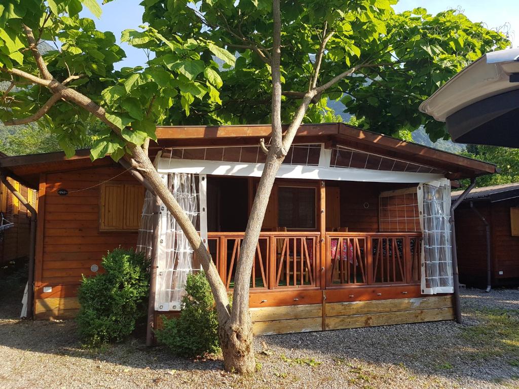 eine Holzhütte mit einer Veranda und einem Baum in der Unterkunft Camping International 242 Porlezza Italië in Porlezza