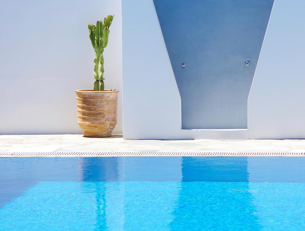 a plant in a pot next to a swimming pool at Remvi in Galissas