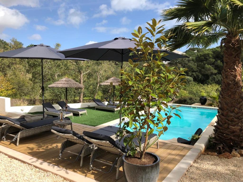 - une piscine avec des chaises, un parasol et un palmier dans l'établissement Casa Sereno, à Benagil