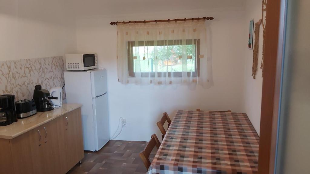 Kuchyň nebo kuchyňský kout v ubytování Casa Toth
