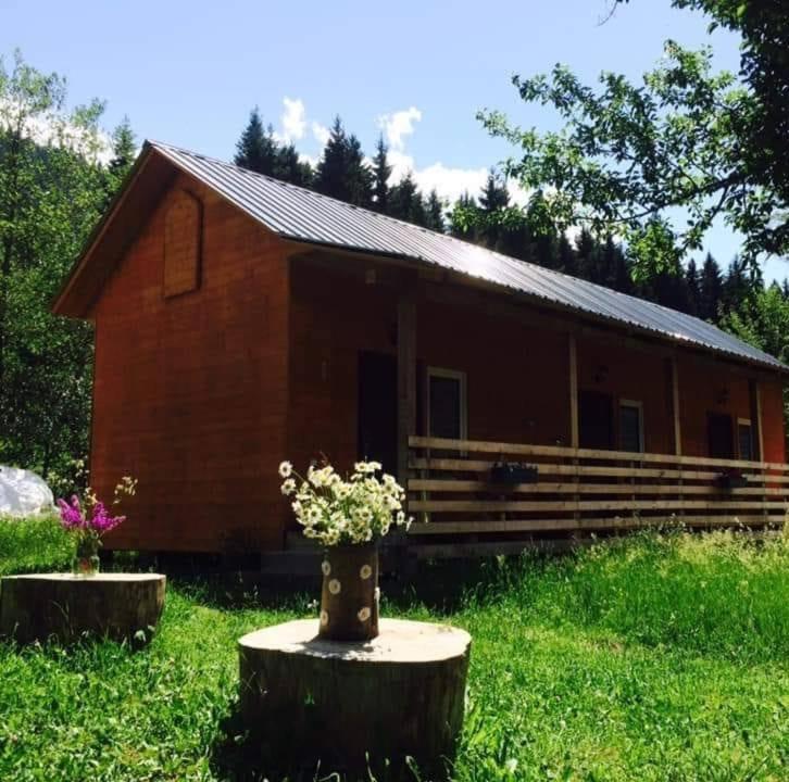 Zahrada ubytování Cottage Shgedi