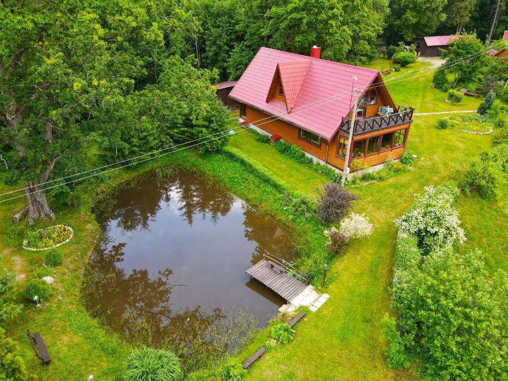 a house with a red roof next to a pond at Sodyba Basapėdė in Bijutiškis