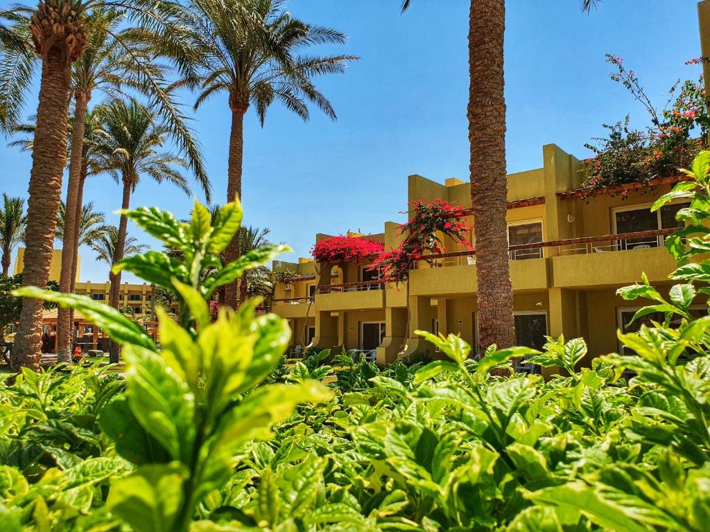 Zahrada ubytování Palm Beach Resort Families and Couples only