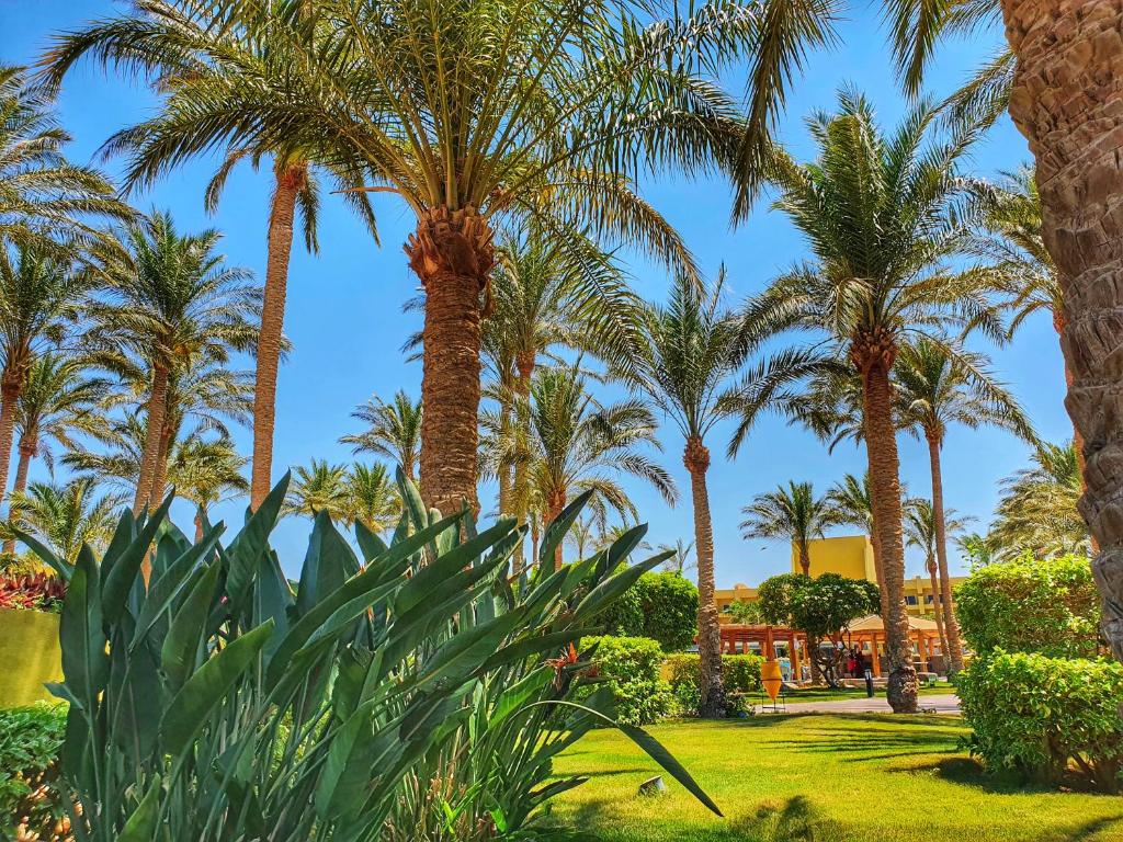 Zahrada ubytování Palm Beach Resort Families and Couples only
