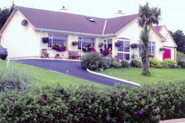 een wit huis met een palmboom en een oprit bij The Yellow Rose B&B in Ballina