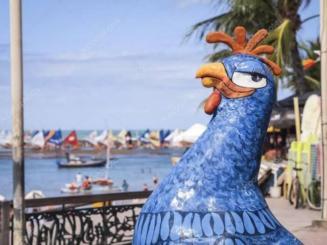  Flat Porto de Galinhas