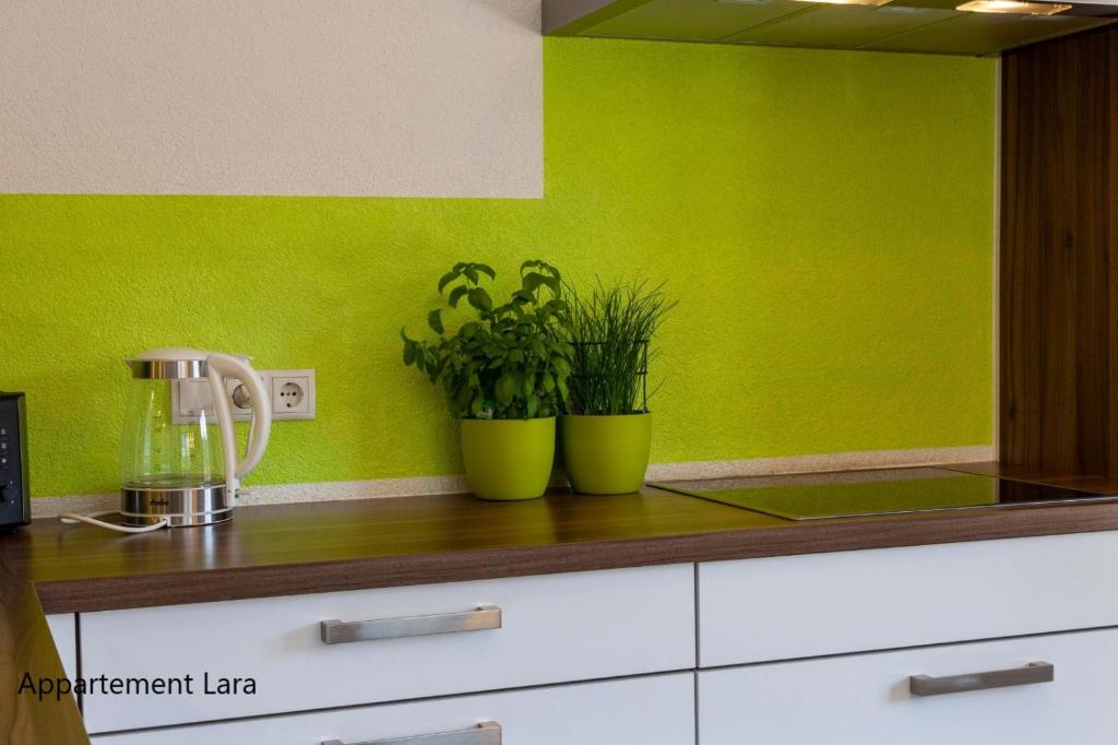Kuchyňa alebo kuchynka v ubytovaní Appartement Lara & Lea