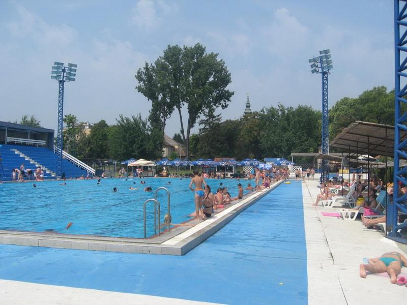 Πισίνα στο ή κοντά στο Apartman ANA