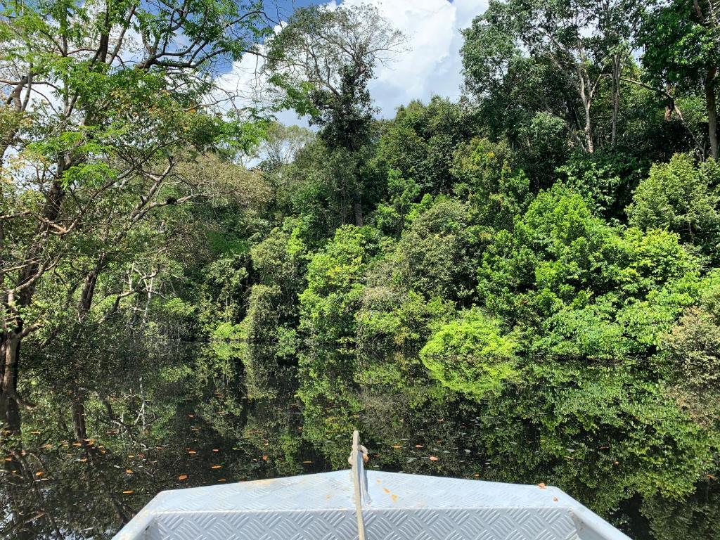  Amazon Mutuca