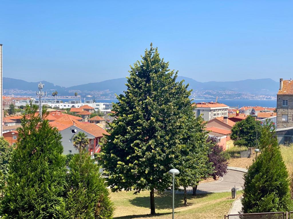 SOL 22, Vigo – Precios actualizados 2022
