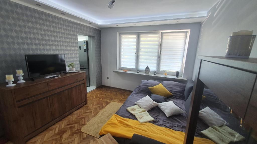 sypialnia z łóżkiem i telewizorem z płaskim ekranem w obiekcie Apartament Park Saski w mieście Sandomierz