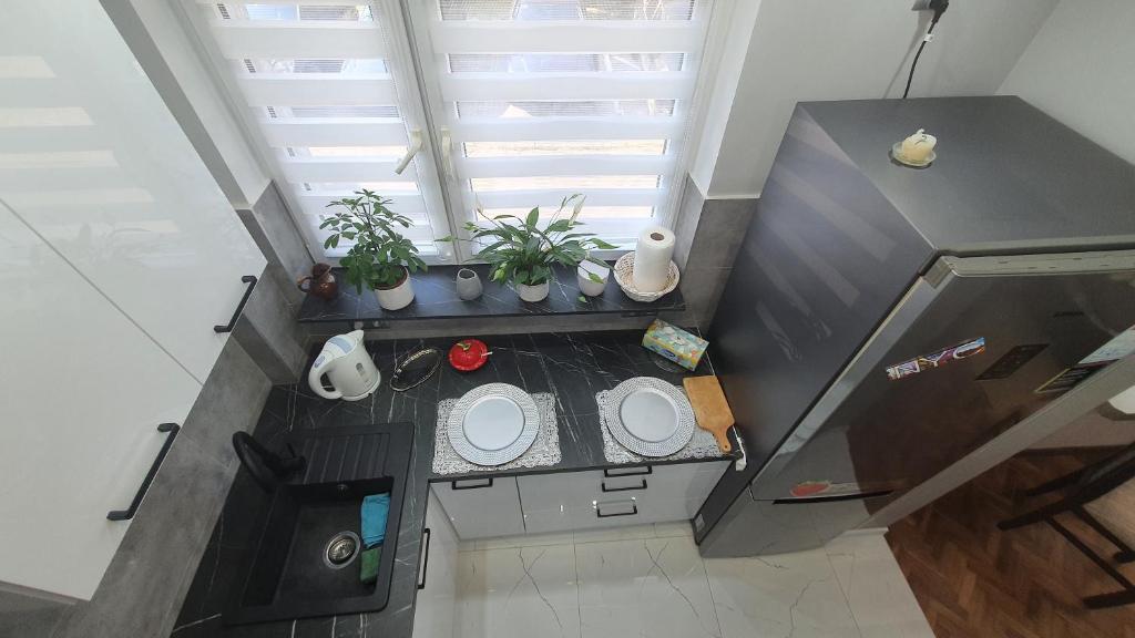 Kuchnia lub aneks kuchenny w obiekcie Apartament Park Saski