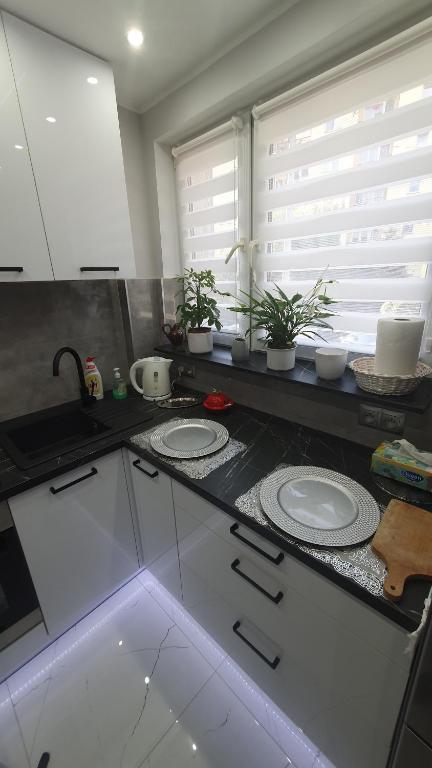 Kuchnia lub aneks kuchenny w obiekcie Apartament Park Saski