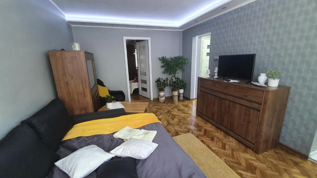 Telewizja i/lub zestaw kina domowego w obiekcie Apartament Park Saski