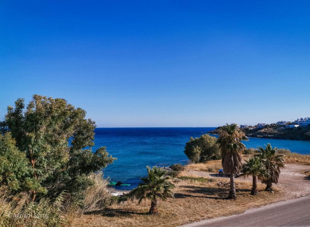 uma estrada junto ao oceano com palmeiras em Agnadi Syros Beachfront Studios & Rooms em Megas Gialos - Nites