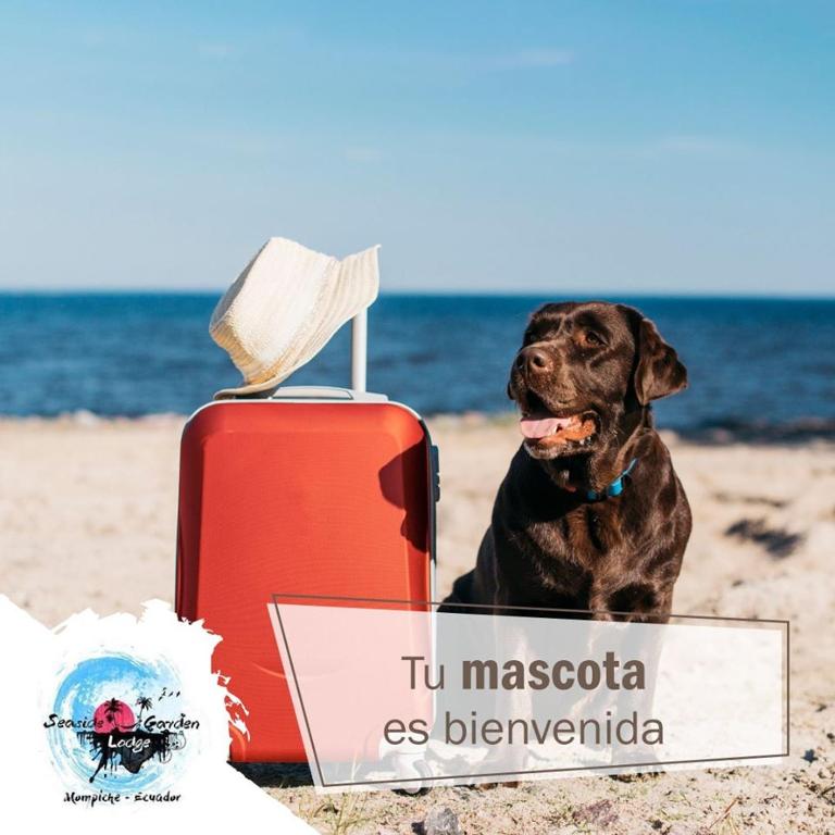Domácí mazlíčci ubytovaní s hosty v ubytování Seaside Garden Ecolodge Mompiche