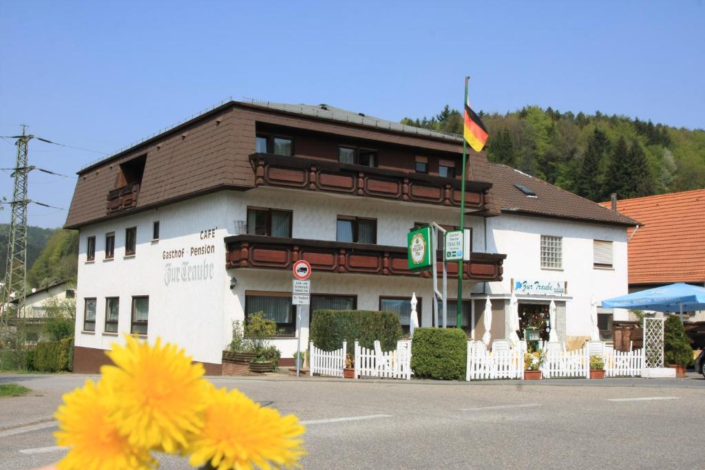 a building with a flower in front of it at Gasthof Zur Traube in Finkenbach
