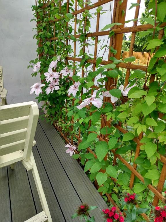Apartament przy Kamiennej Chacie - One-Bedroom Apartment