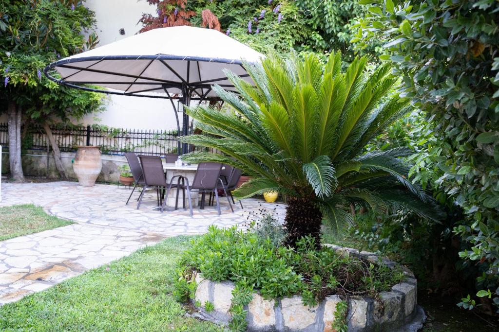 Vonkajšia záhrada v ubytovaní Villa Dina