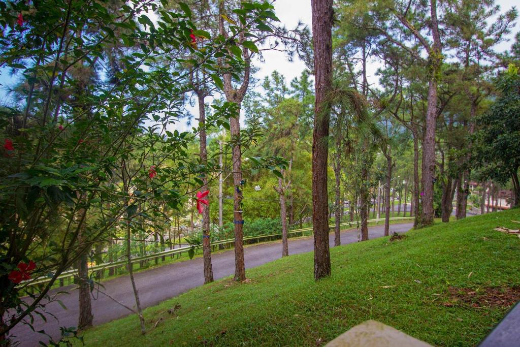  Conforto e ótima infraestrutura no Guarujá Praia da Enseada