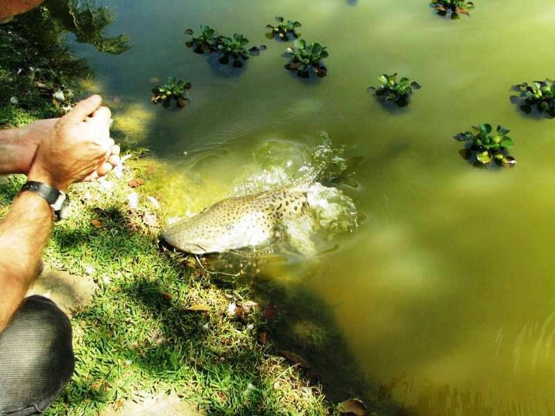  Cep Lago Hotel Ecológico E Pousada