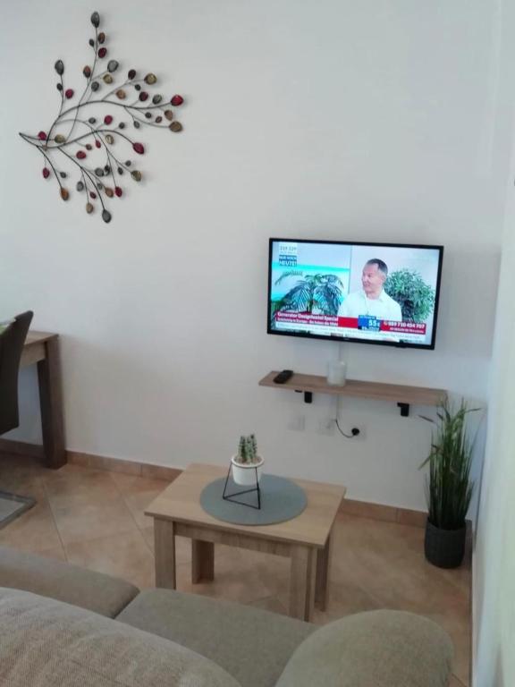 TV a/nebo společenská místnost v ubytování Apartment Mari