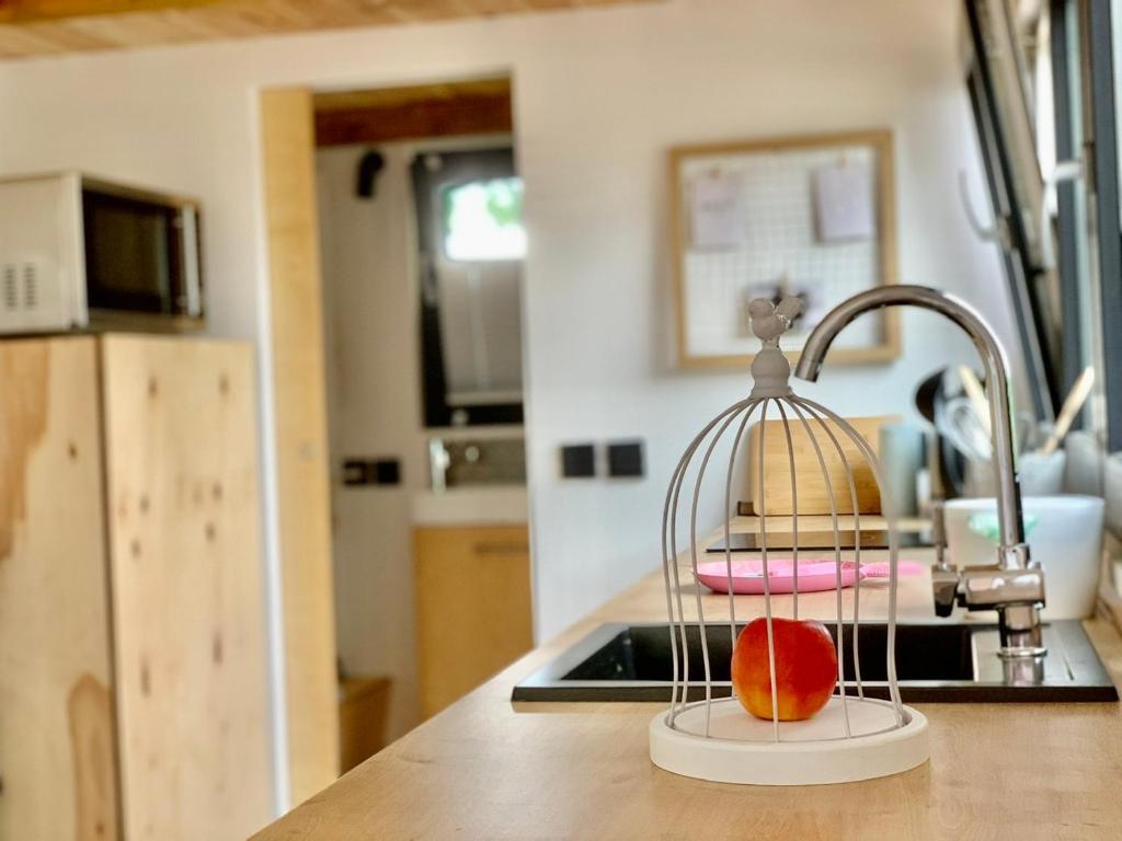Tiny House Geierlay