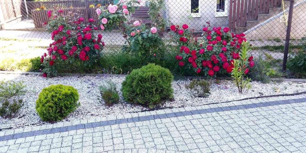 Vonkajšia záhrada v ubytovaní Apartament Nadmorski