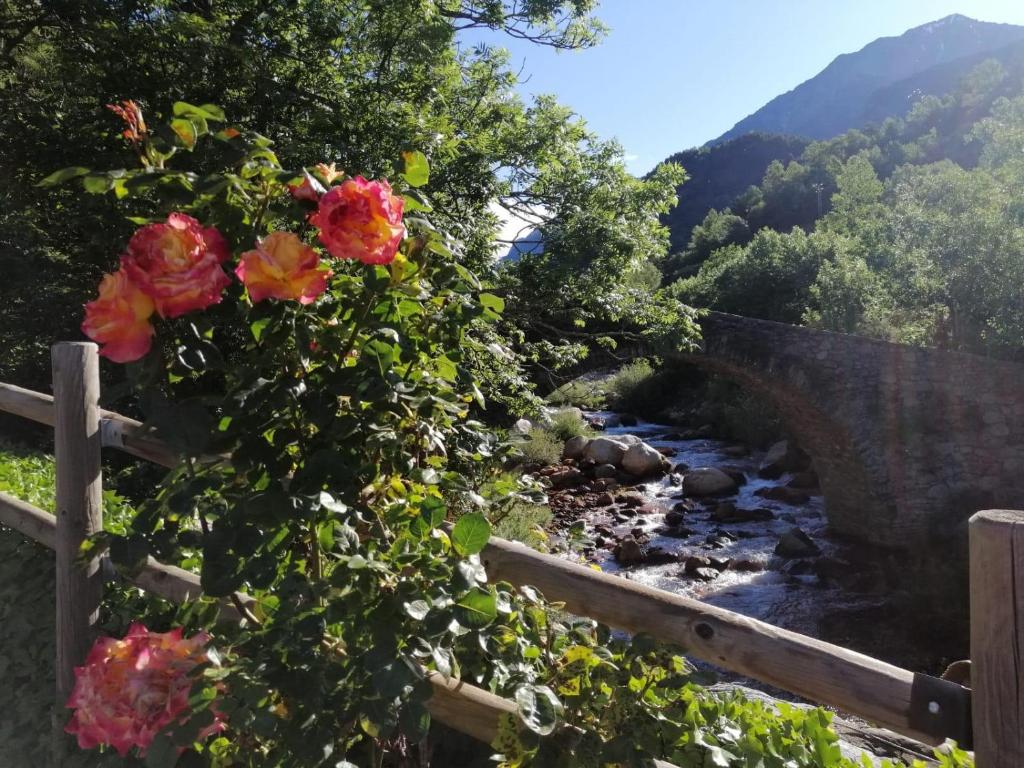Camping Aneto, Benasque – Precios actualizados 2022