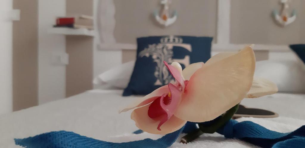 a pink flower sitting on top of a bed at Finestra Azzurra in San Vito lo Capo