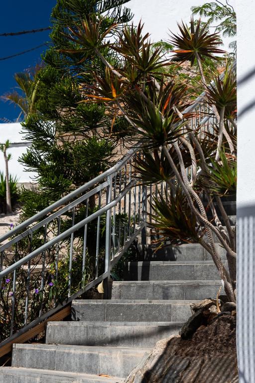 Fotografie z fotogalerie ubytování MISTRAL-20 v destinaci Puerto de Mogán