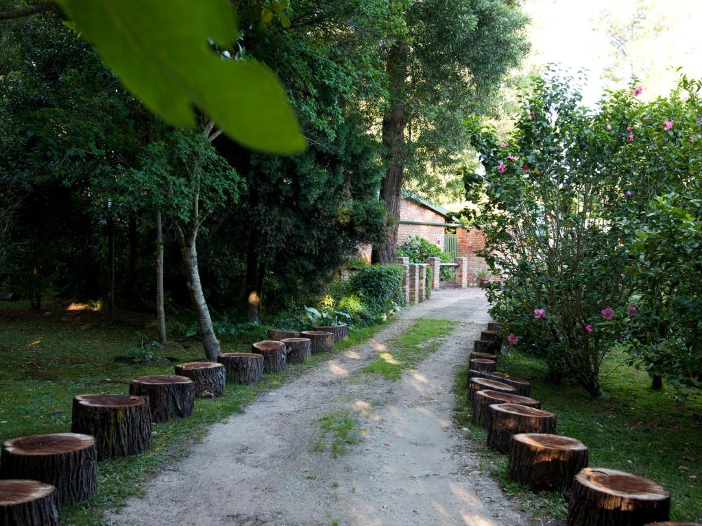 Zahrada ubytování Andelomi Forest Lodge