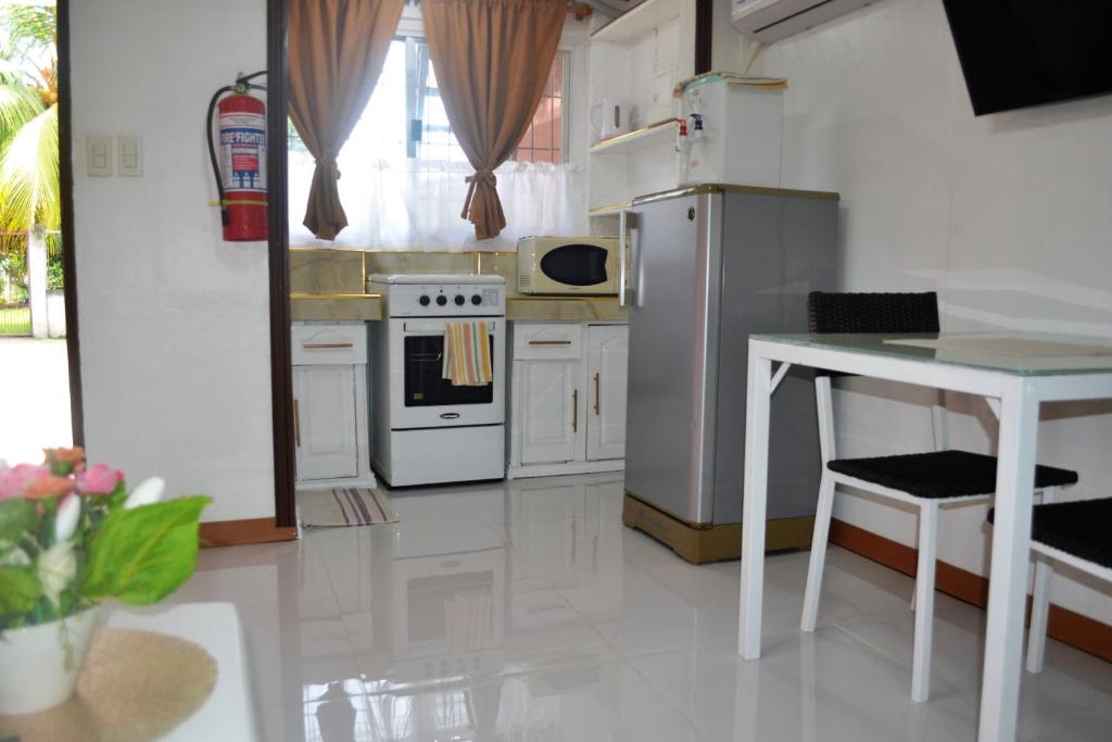 Kuchyň nebo kuchyňský kout v ubytování Villa Prescilla