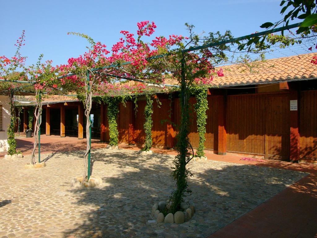 Zahrada ubytování Camping Costa Ponente