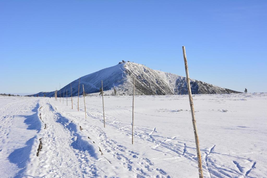 Príroda v okolí penziónu