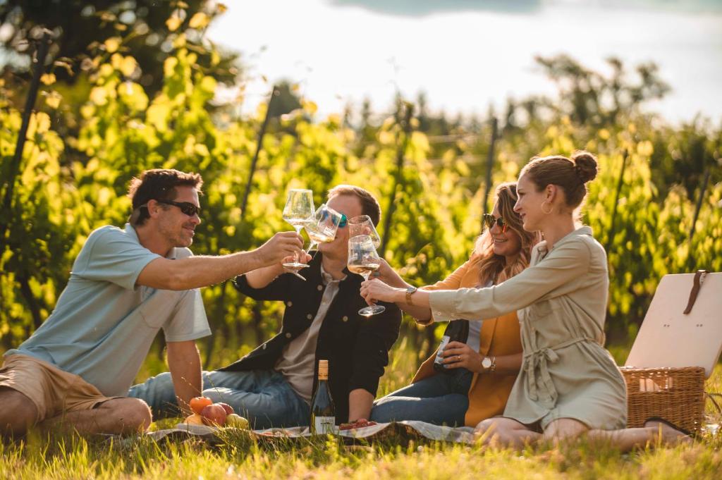 Hosté ubytování Domaine Edegger - Organic Winery Badacsony