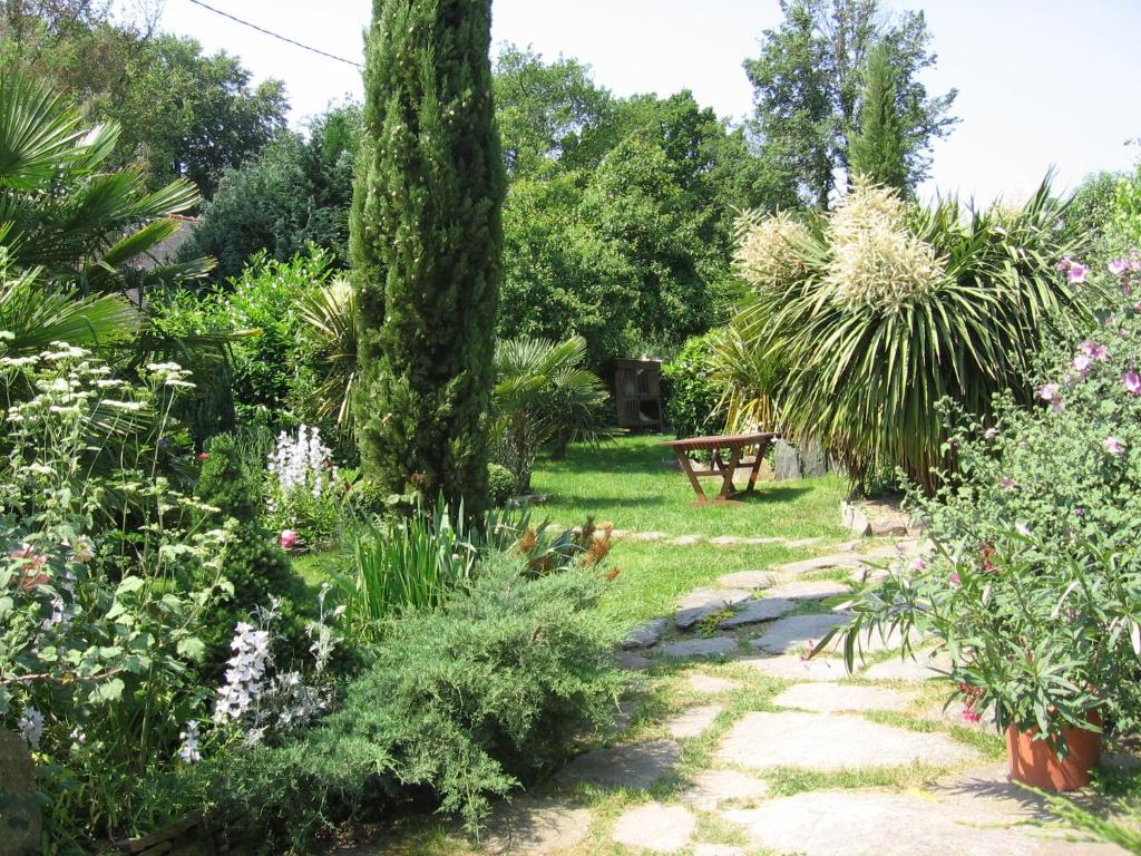 un jardín con un árbol y un banco en el fondo en Gîte Blé Noir Le Clos du Tay, en La Gacilly