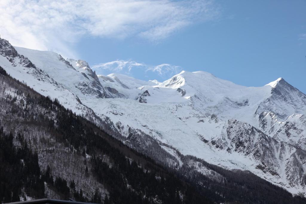 pokryte śniegiem pasmo górskie z górami w tle w obiekcie ALPINSTAR w Chamonix-Mont-Blanc