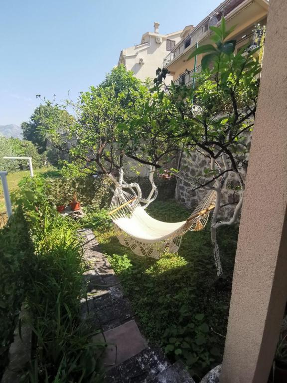 Apartments Coso Zlatne njive bb - 9