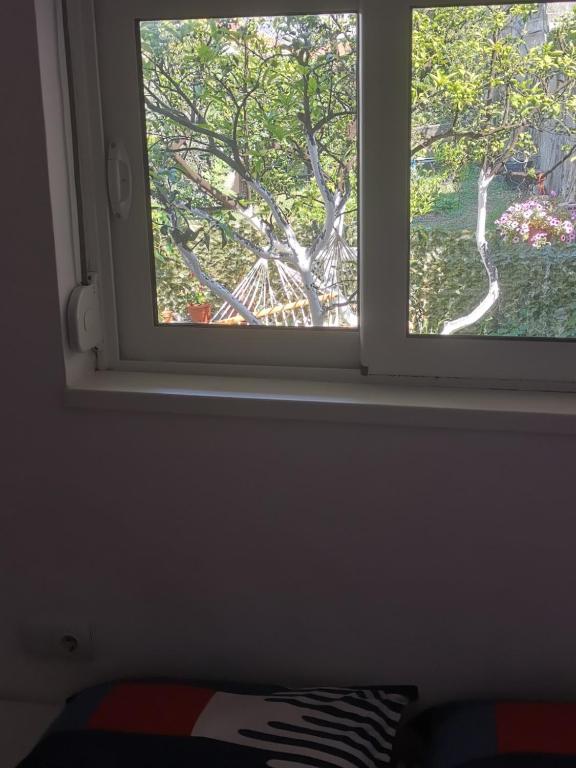 Apartments Coso Zlatne njive bb - 11