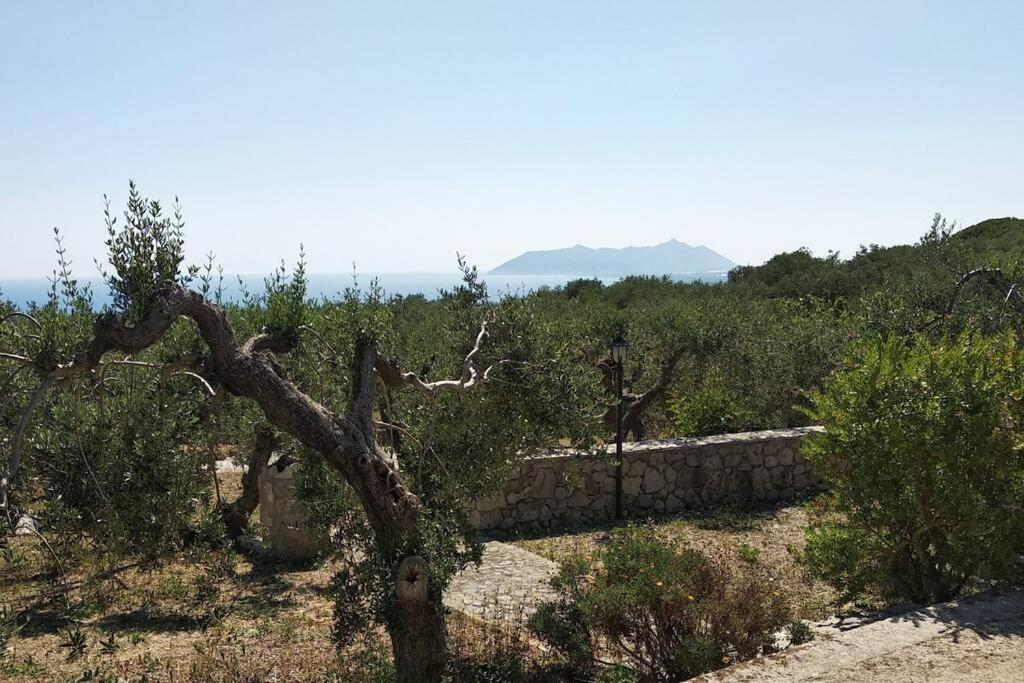 un árbol en un campo con una pared de piedra en Il giardino di Mary, en Terracina