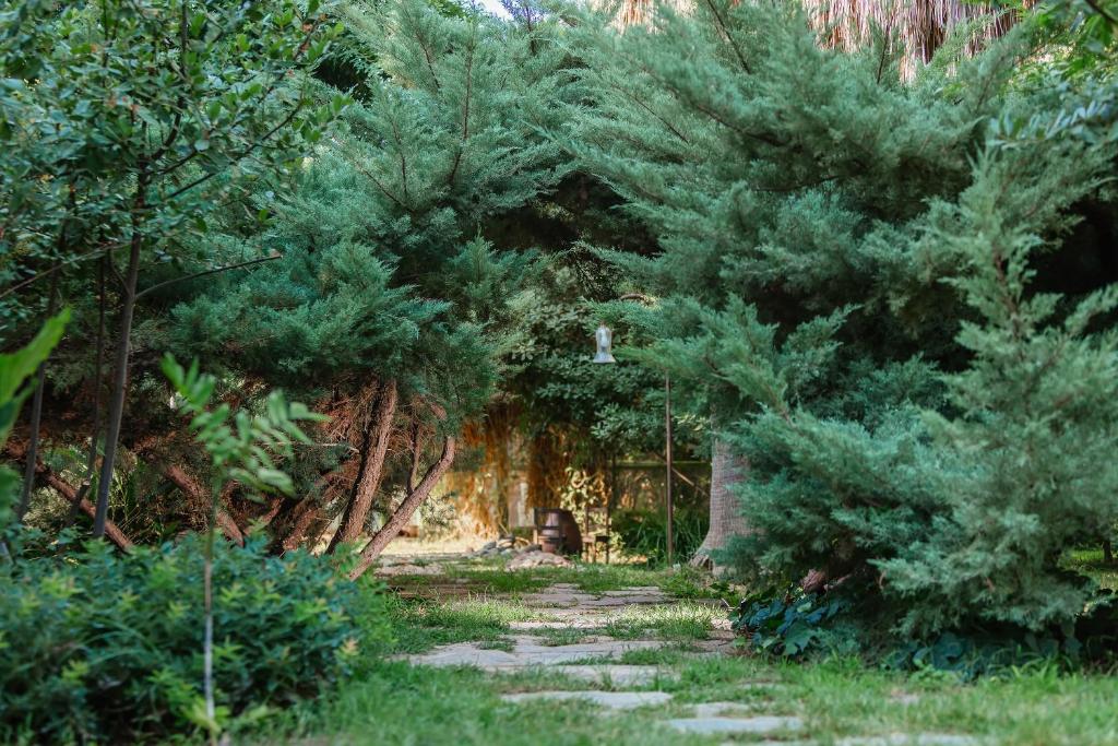 Zahrada ubytování Olympos Lodge